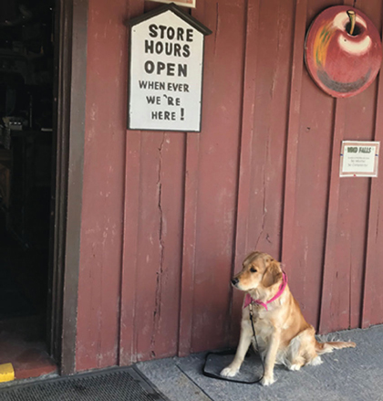 bonnie jane snow cold