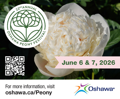 peony festival oshawa