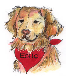 Echo