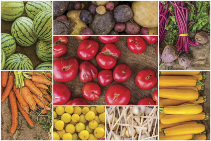 buy local farm produce