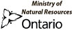 ontario mnr bears