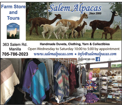 Salem Alpacas