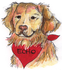 Echo daytripper dog